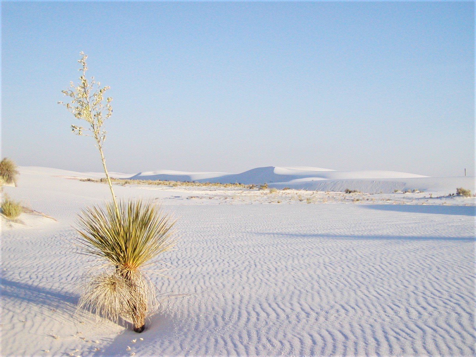 White Sands NP New Mexico