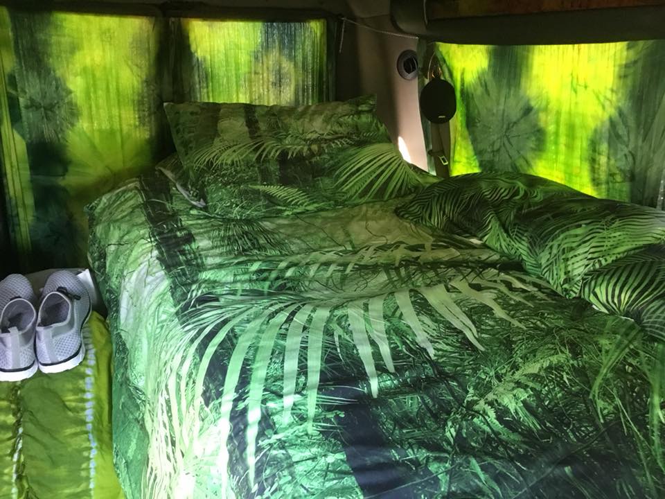 ZDog's green interior